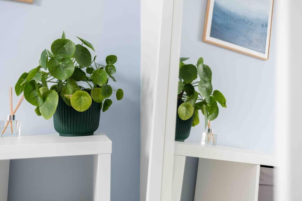 Charming 3 Bedroom Belfast Townhouse Eksteriør billede