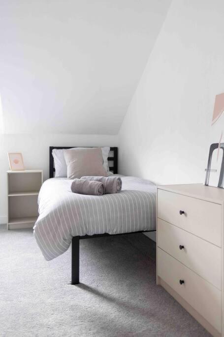 Charming 3 Bedroom Belfast Townhouse Eksteriør billede